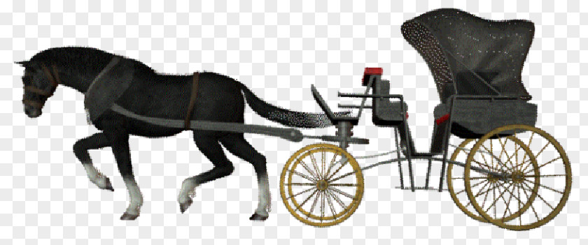 Horse Carriage Calèche Clip Art PNG