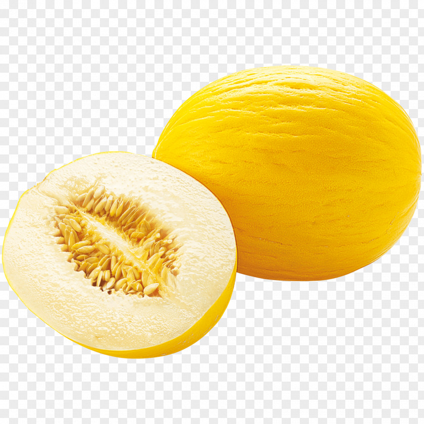 Melon Honeydew Cantaloupe Canary Galia PNG