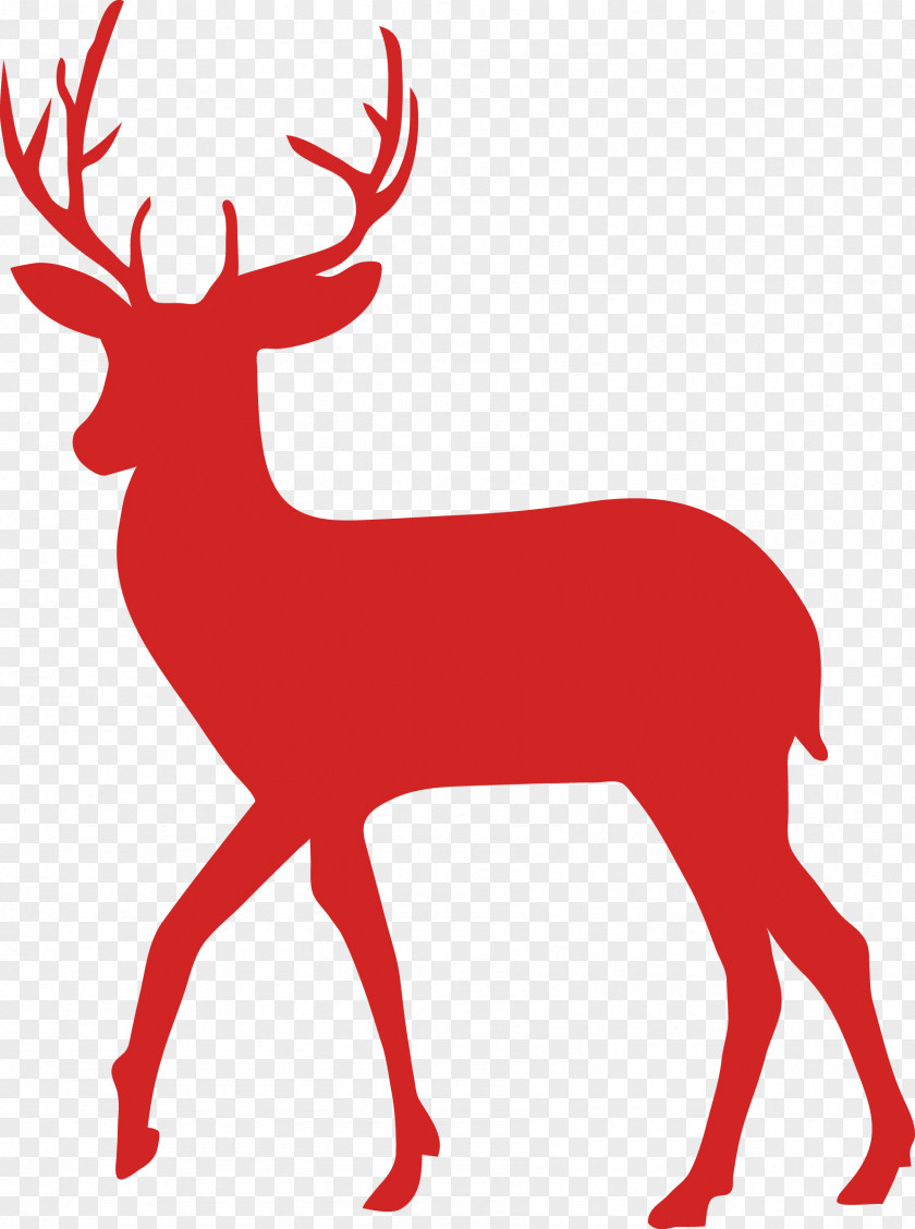 Deer Red Moose Vector Graphics Fallow PNG