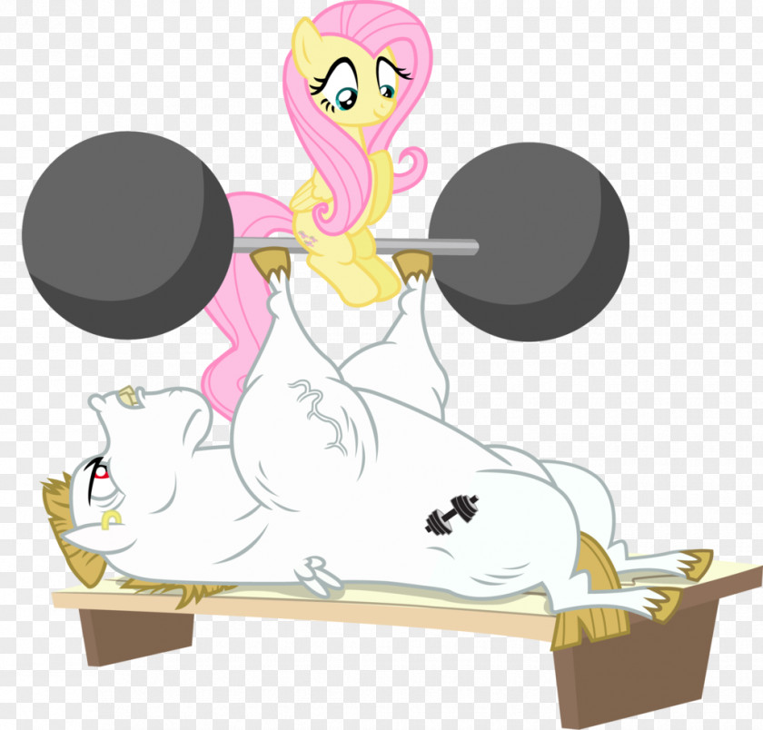 Human Canon Fluttershy Pony Derpy Hooves Rarity Pinkie Pie PNG