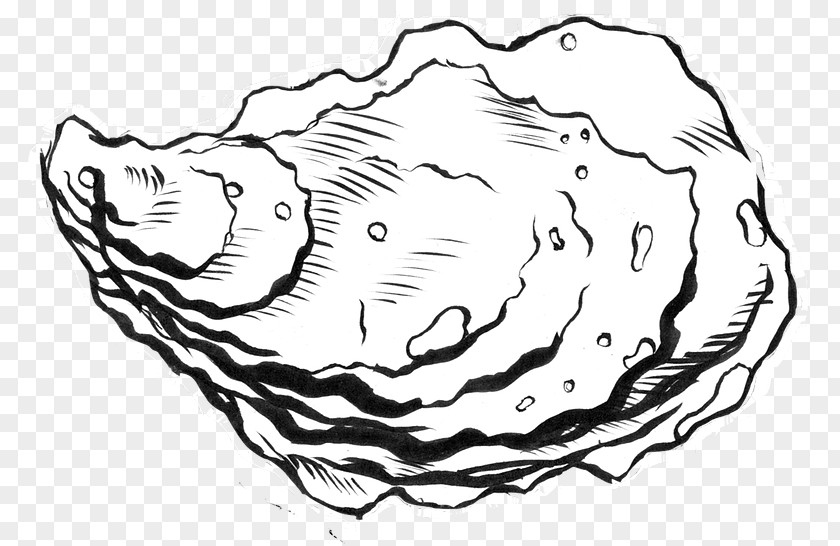 Oysters Sign Clip Art Drawing Image Oyster PNG