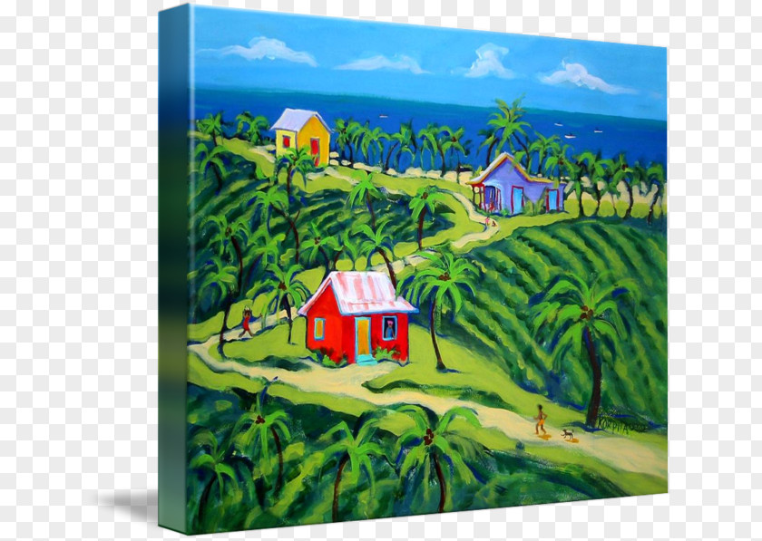 Painting Acrylic Paint Caribbean Art House PNG