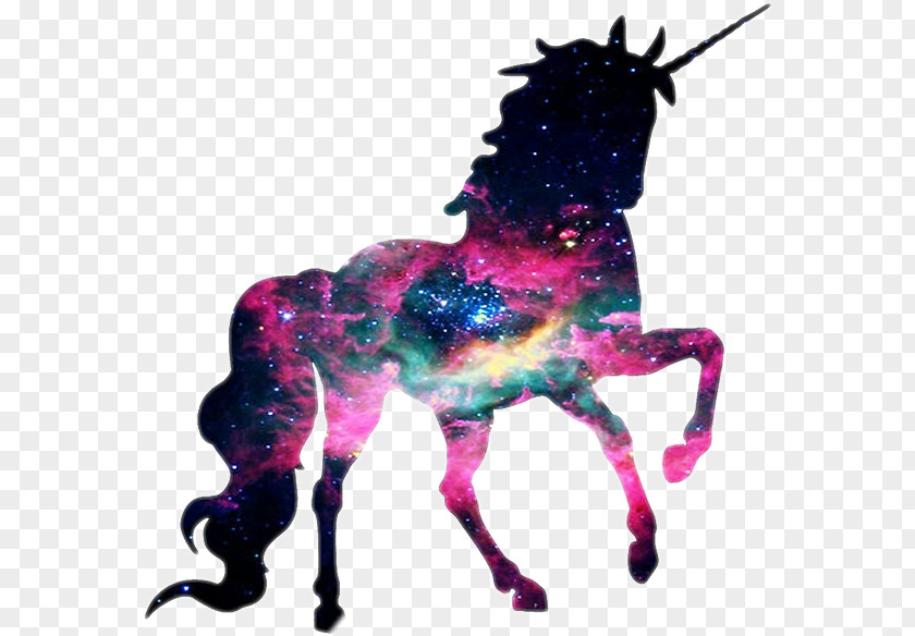 Unicorn The Black T-shirt Graphics Wall Decal PNG