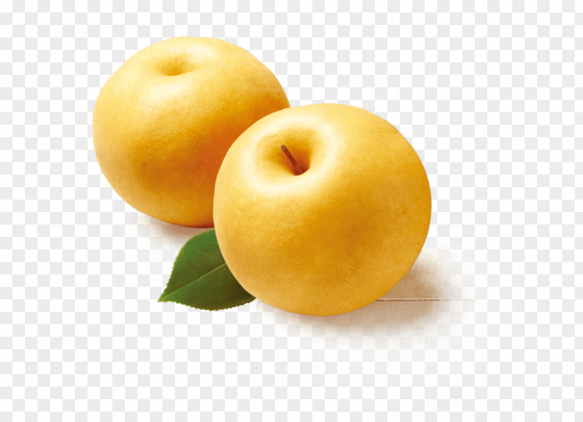 Apple Asian Pear Fuji Food Fruit PNG