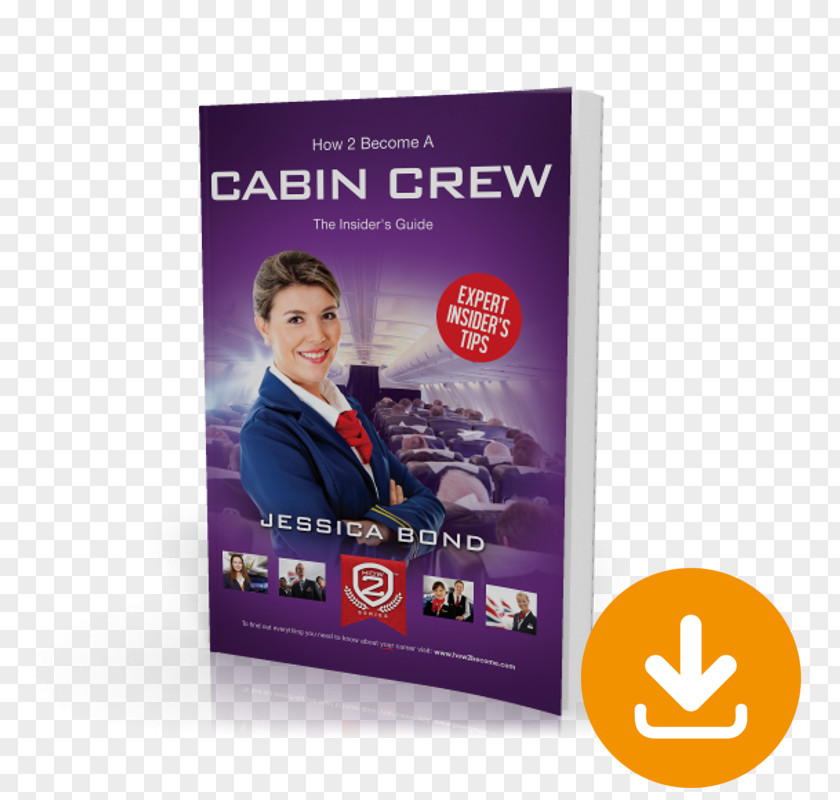 Cabin Crew How To Become Flight Attendant Airline Aircraft Résumé PNG