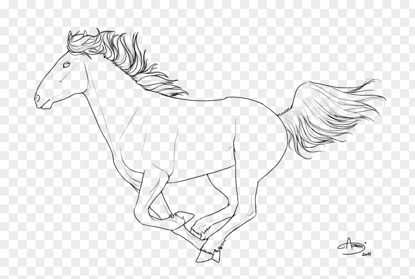 Galloping Horse Arabian Friesian Howrse Pony Line Art PNG
