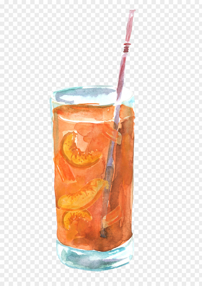 Hand Painted Juice Orange Cocktail Bay Breeze Sea PNG