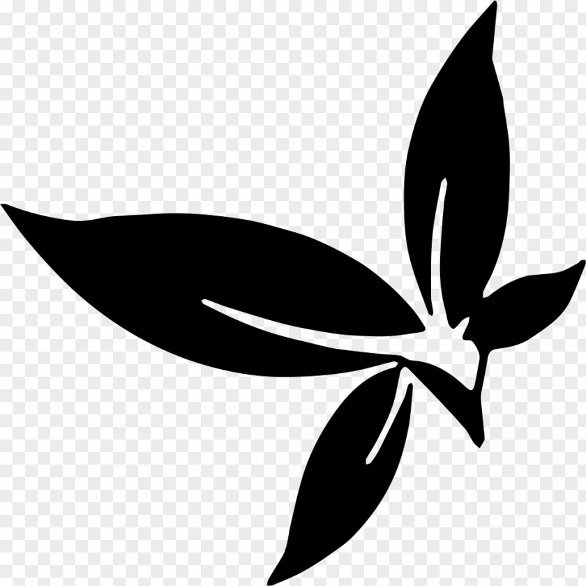 Herbs Icon Clip Art Herb PNG