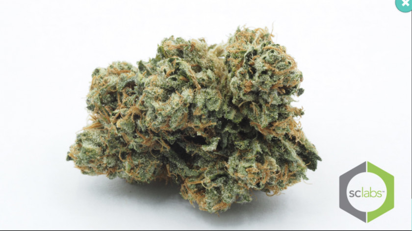 Mint Kush Legality Of Cannabis Fontana SC Labs PNG
