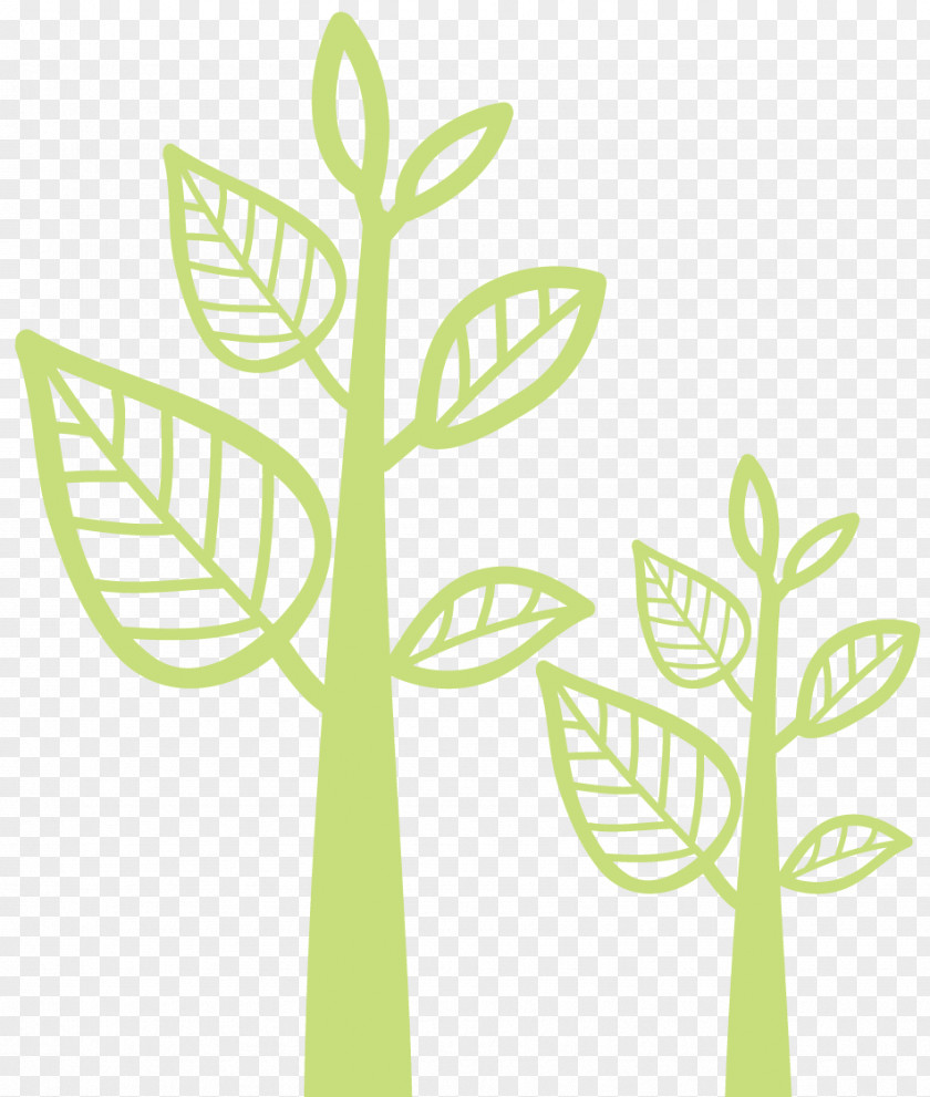 SECTION TREE Grasses Plant Stem Leaf Line Clip Art PNG