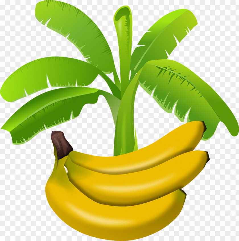 Banana Pudding Saba PNG