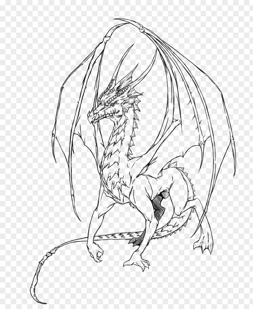 Dragon Drawing Line Art Sketch PNG