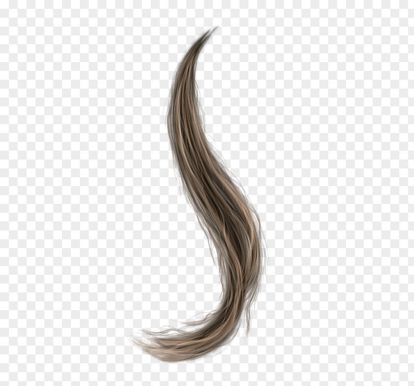 Hair Draw Wig Tutorial PNG