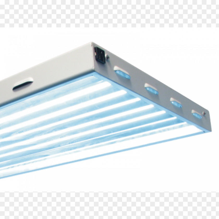 Light Grow Fluorescent Lamp Fixture Lighting PNG