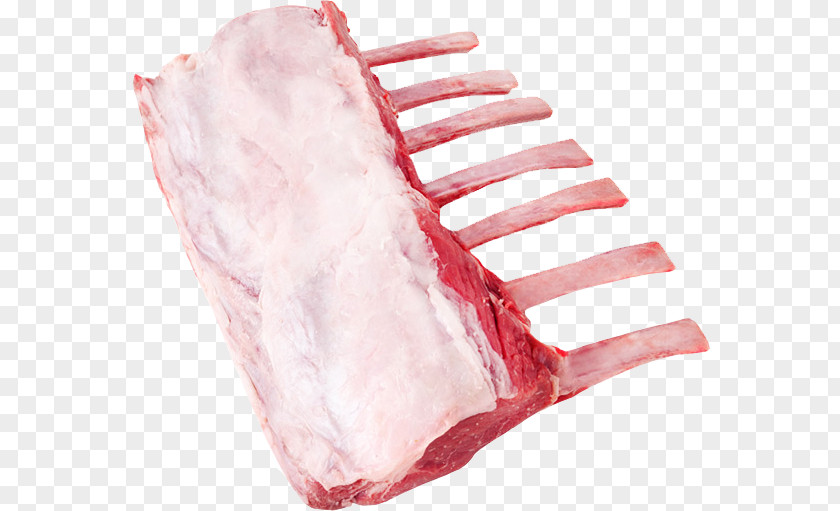 Meat Calf Red Lamb And Mutton Chop PNG