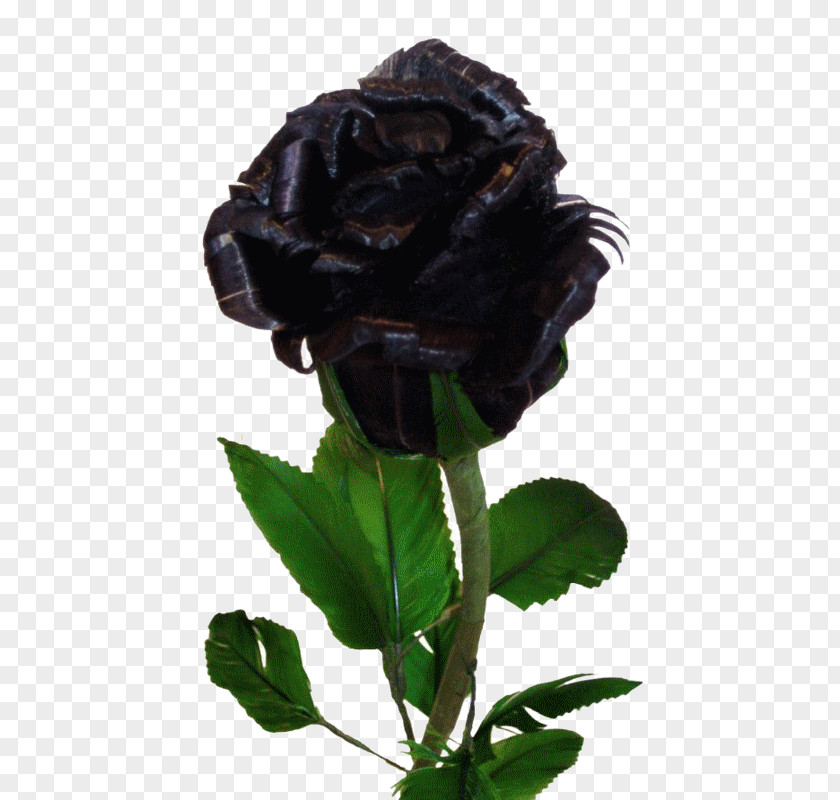 Rose Black Flower Desktop Wallpaper Yellow PNG