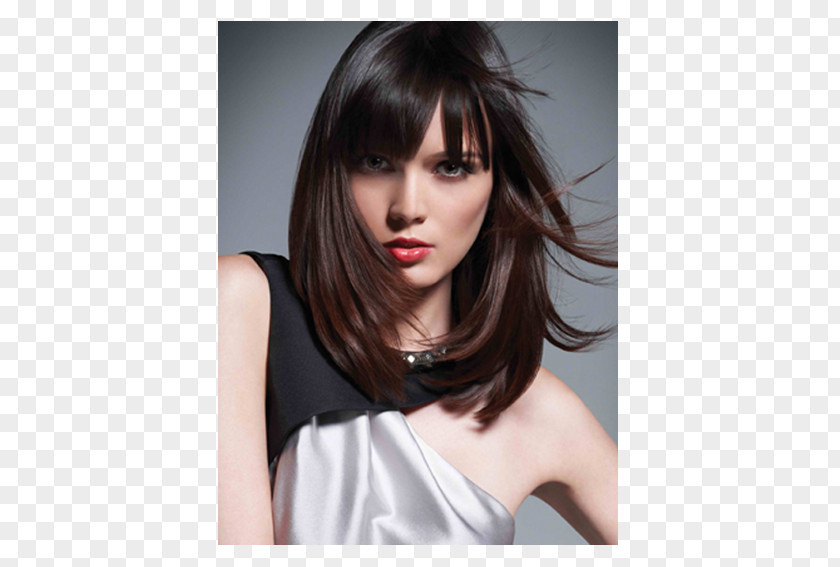 Stylish Beauty Spa Hairstyle Hairdresser John Paul Mitchell Systems Parlour Hair Care PNG