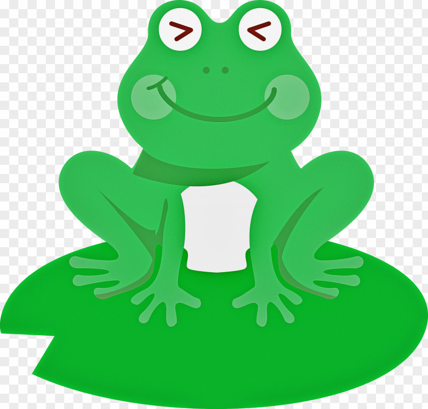 True Frog Frogs Tree Toads Toad PNG