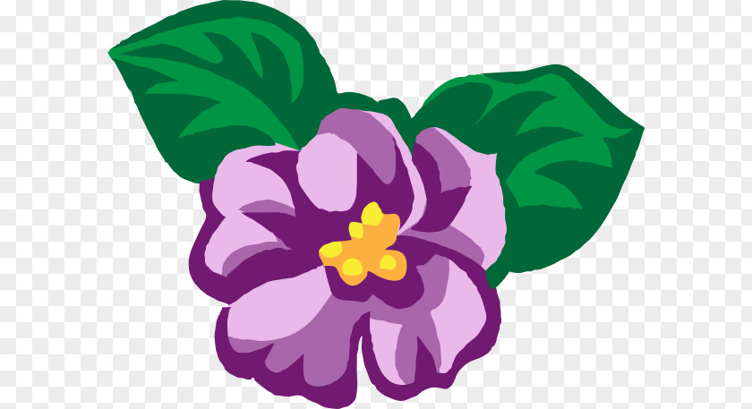 Violet African Violets Clip Art PNG