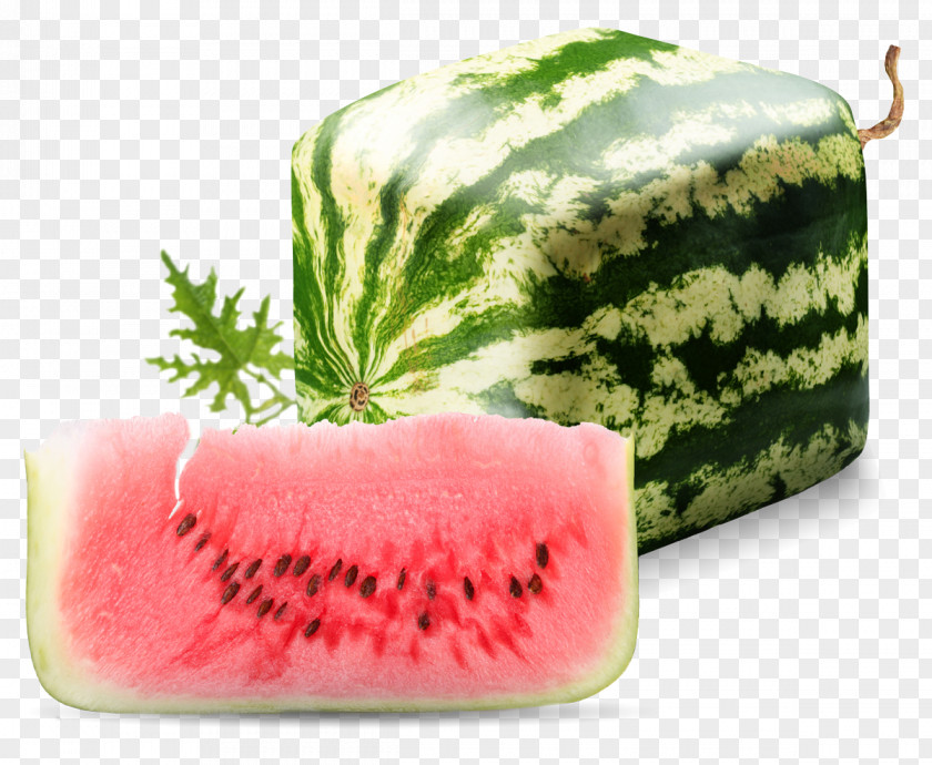 Watermelon Square Seed PNG