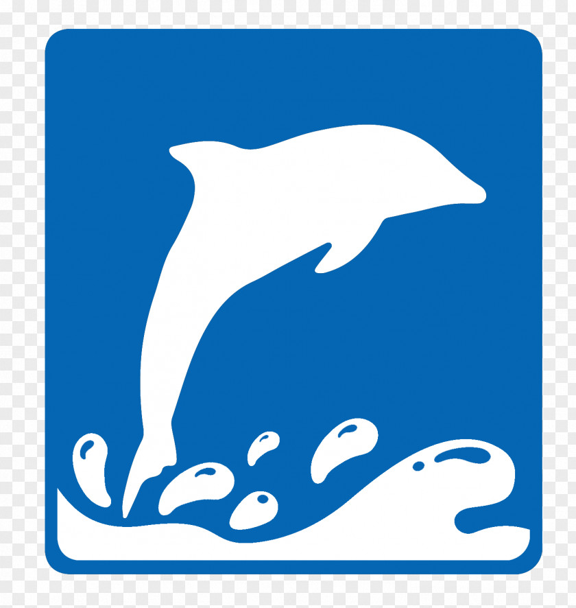 Dolphin Common Bottlenose Tucuxi Killer Whale Clip Art PNG