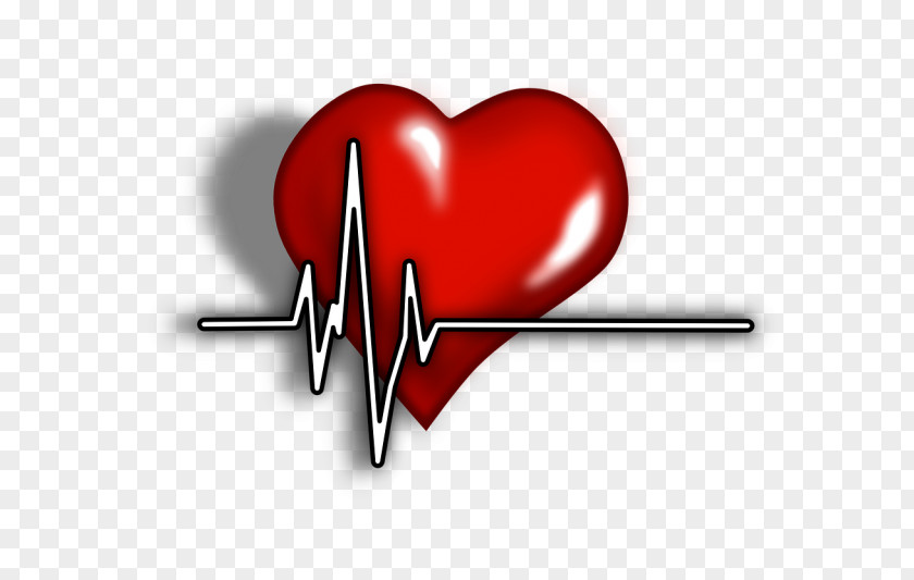 Heart Cardiovascular Disease Myocardial Infarction Coronary Artery PNG
