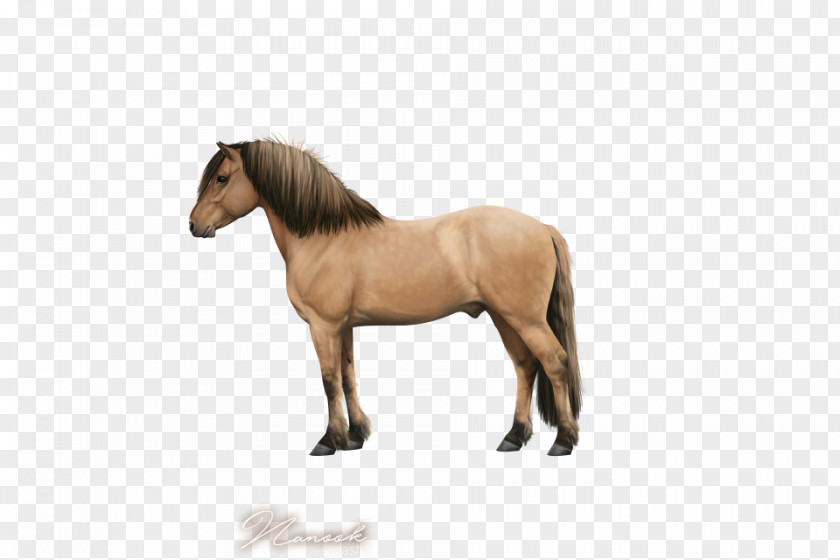 Highland Pony Mustang Mare Rein Stallion Halter PNG