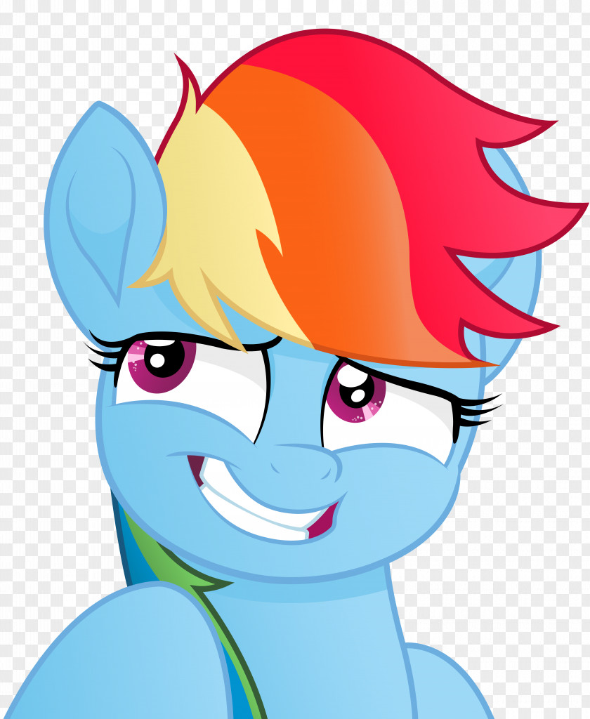 Rainbow Dash Pinkie Pie Rarity Pony Applejack PNG