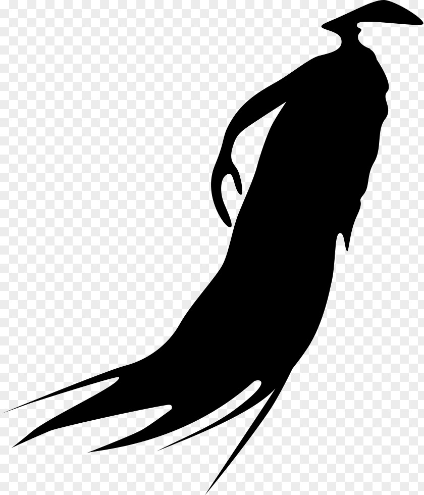 Silhouette Beak Line Clip Art PNG