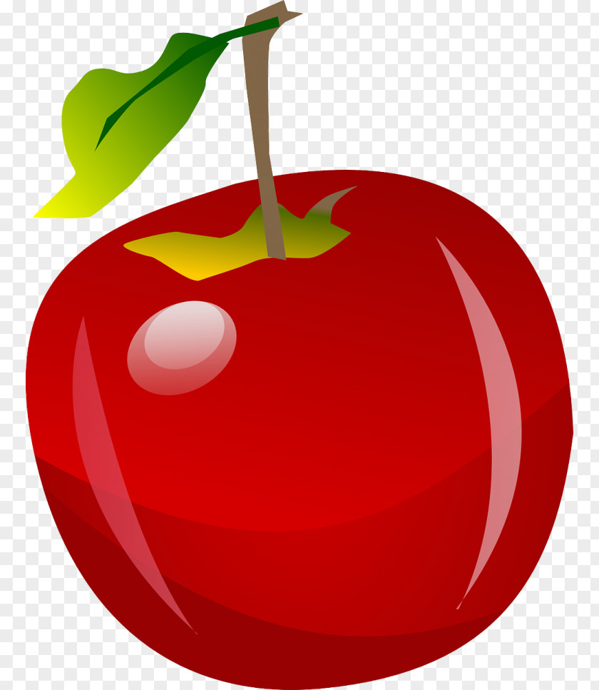 Tomato Clip Art PNG