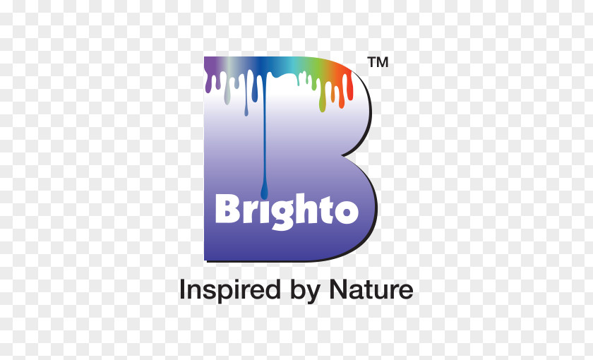 Bright Brain Logo Brighto Paints Brand Product Design PNG