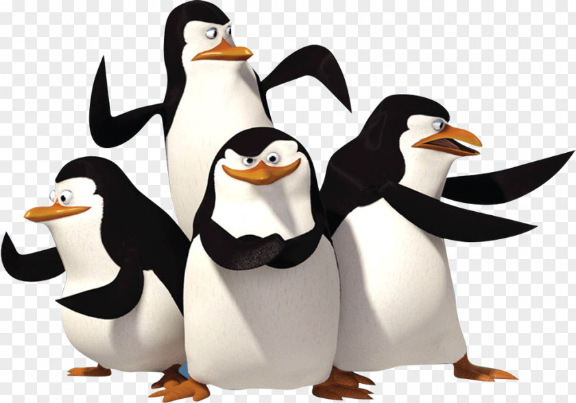 Cartoon Penguin Madagascar DreamWorks Spin-off Film PNG