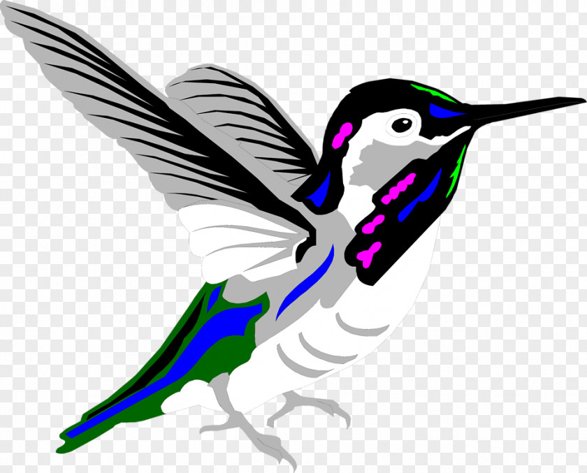 Free Hummingbird Clipart Animation Clip Art PNG