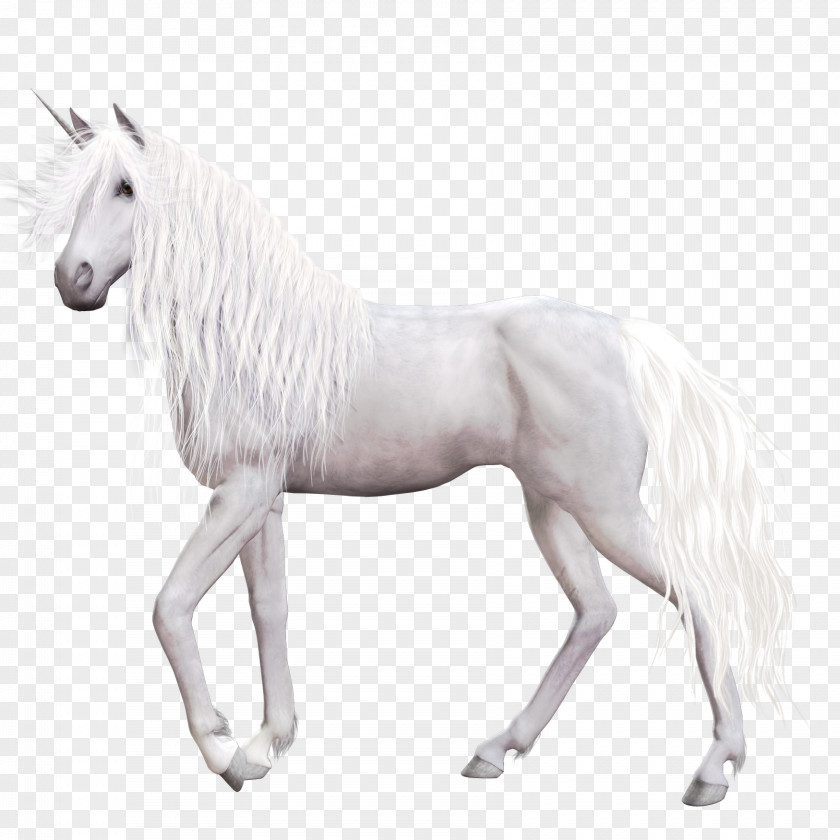 Unicorn Horse Clip Art PNG