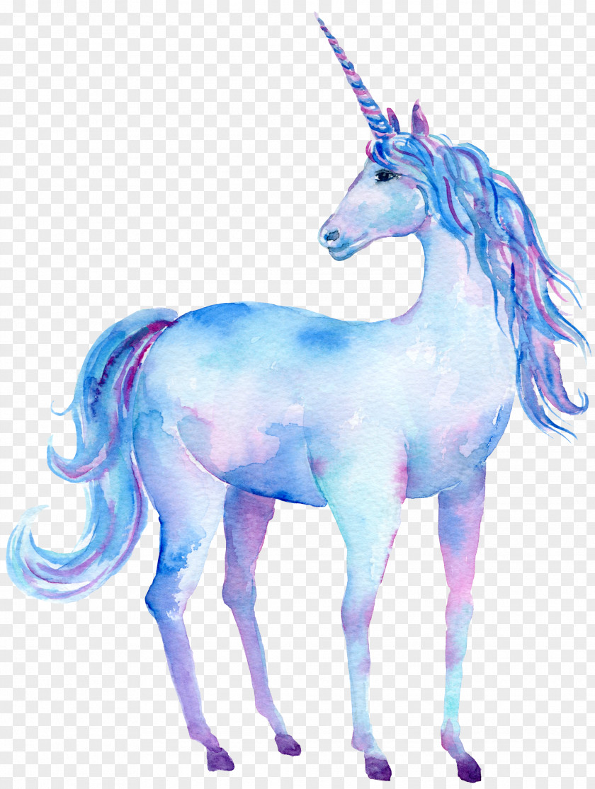 Unicorn Watercolor Painting Art Clip PNG