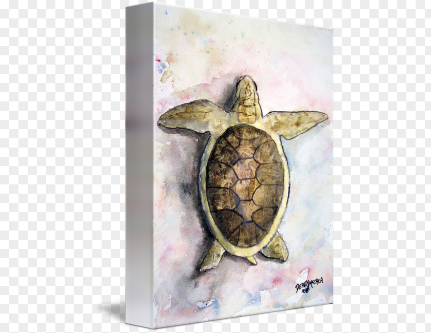 Watercolor Turtle Art Painting Irises Mona Lisa Sculpture PNG