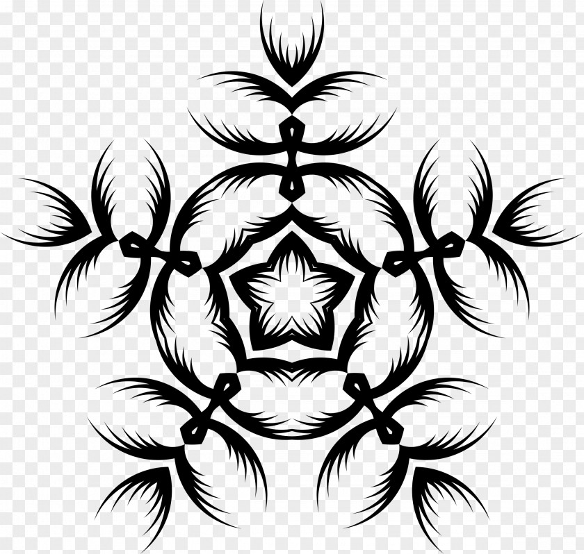 5 Star Visual Arts Line Art Black And White PNG