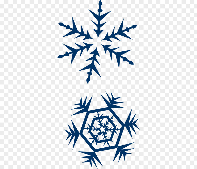 A Free Christmas Snowflake Pictures Crystal Clip Art PNG