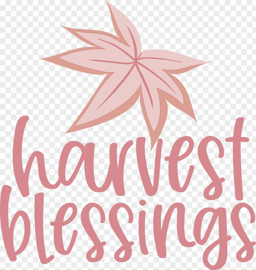 Harvest Thanksgiving Autumn PNG