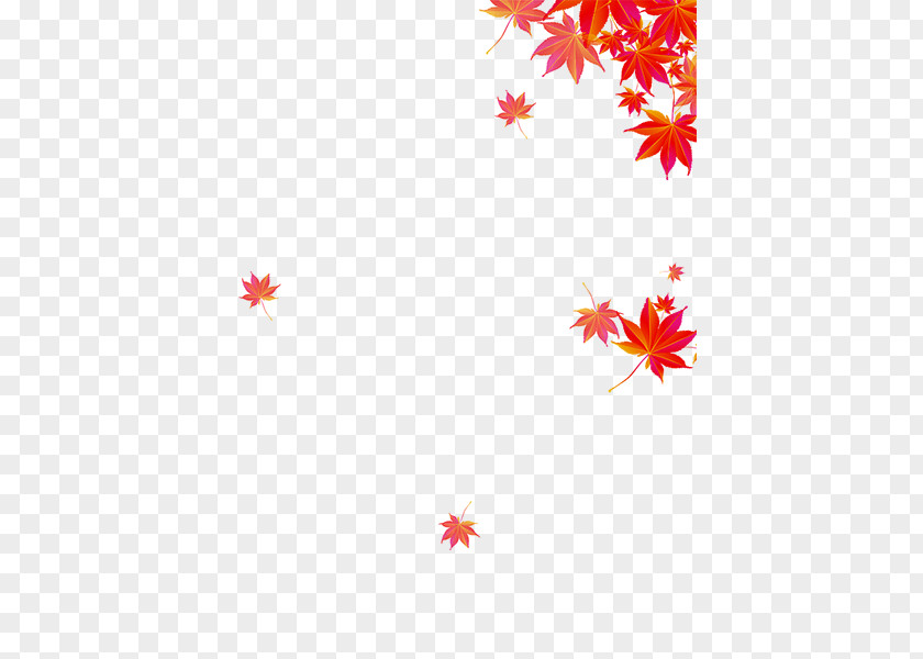 Maple Leaf Decoration Autumn Poster Mountaineering PNG