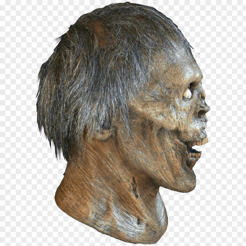 Season 3Mask The Walking Dead: Michonne Mask Costume Dead PNG