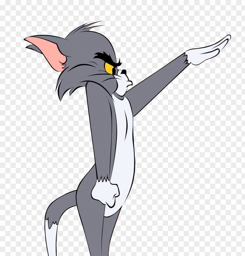 Tom Cat My Talking Jerry Mouse PNG