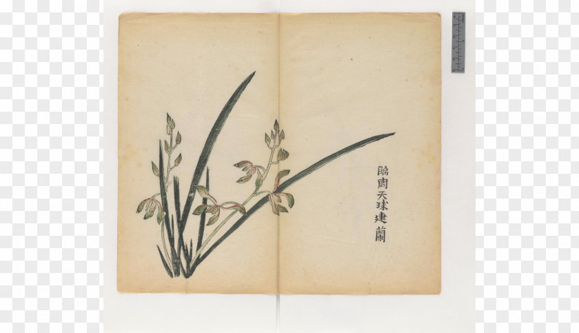 Zhai Shih Tzu Book Cambridge University Library Calligraphy Painting PNG