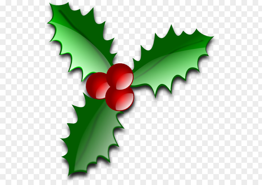 Christmas Leaves Cliparts Common Holly Tree Leaf Clip Art PNG