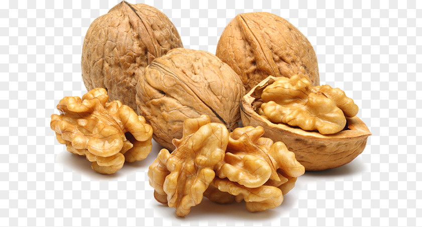 Food Snack Nuts Walnut Clip Organic Iranian Cuisine Dried Fruit PNG