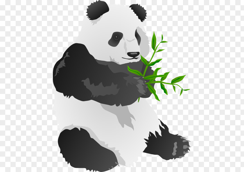 Gambar Kartun Panda Giant Bear Clip Art PNG