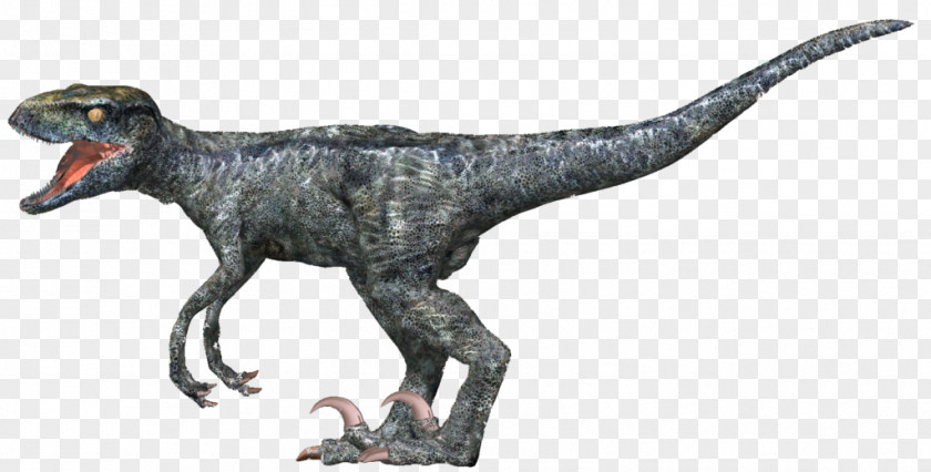 Jurassic World 2 Tyrannosaurus Velociraptor Animal PNG