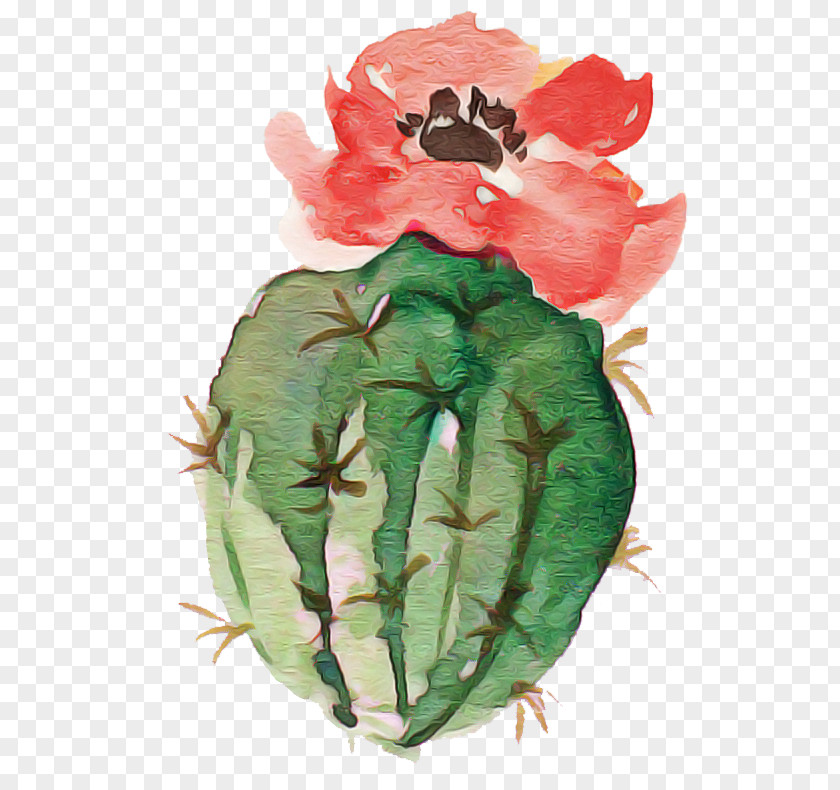 Leaf Insects Flower Membrane Biology PNG