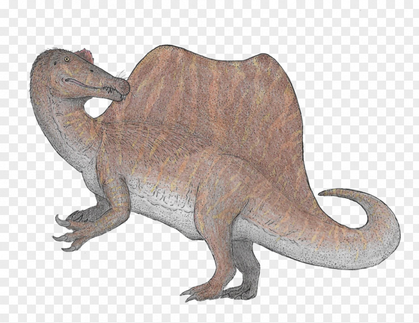 Spinosaurus Tyrannosaurus Velociraptor Animal Duck PNG