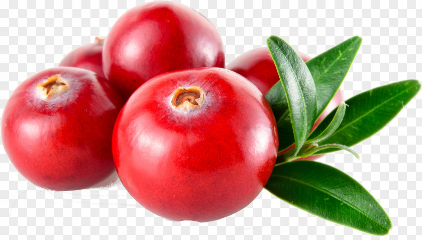 Superfruit Arctostaphylos Uvaursi Fruit Plant Natural Foods Food Berry PNG